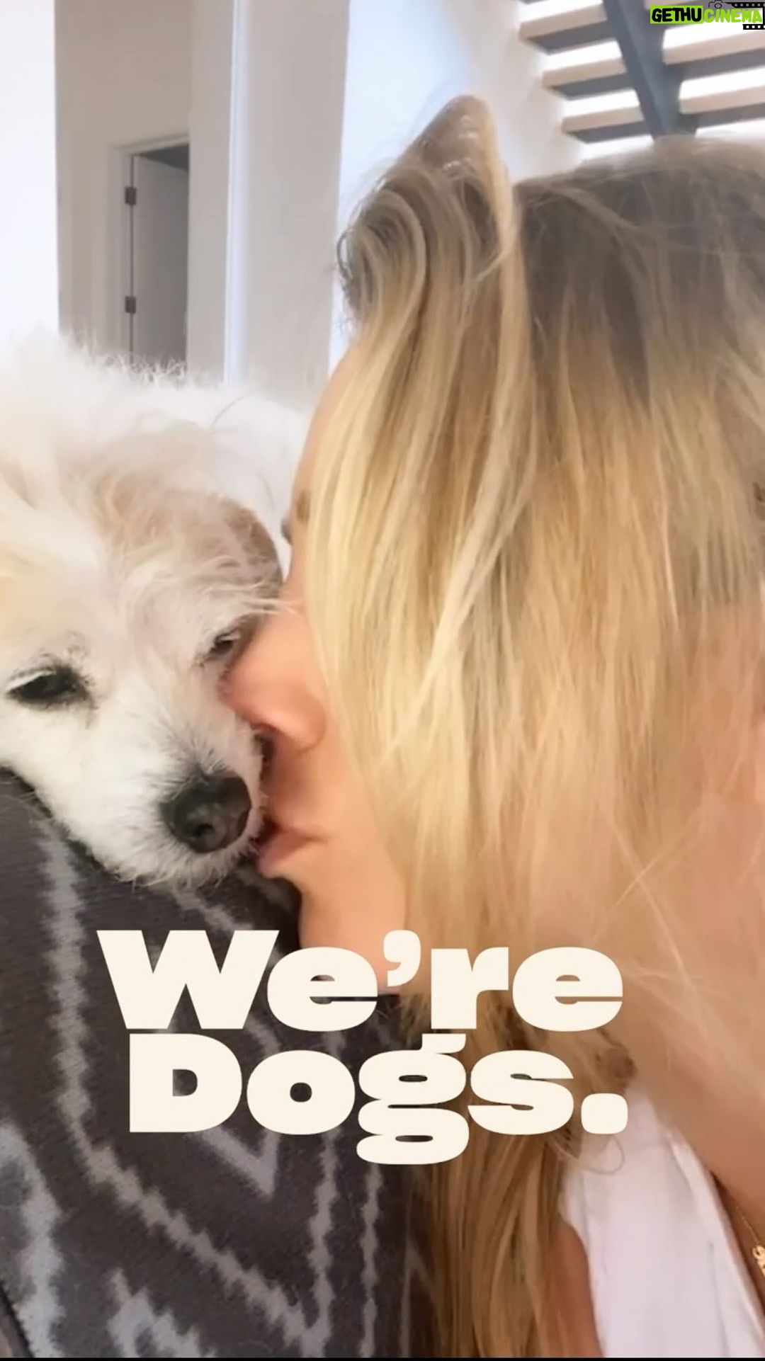 Kaley Cuoco Instagram - “We’re dogs. We deserve the best.” ❤️🐶 At @ohnorman, we know that. That’s why we create well-made, eco-friendly, and ethically sourced products for dogs everywhere. Give us your best „We’re dogs, we’re gonna...“ and we may just include it in part 2.✍️ #weredogs Los Angeles, California