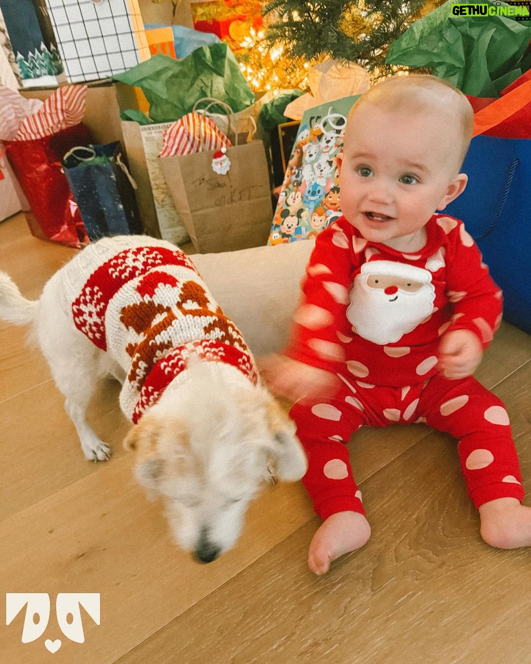 Kaley Cuoco Instagram - Happy Holidays from Tildy, Ruby, and the entire @ohnorman family 🐕🐶 We hope your holidays are easier than snapping a photo of a dog in a sweater and an 8 month old in her holiday finest 🙃