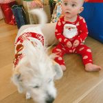Kaley Cuoco Instagram - Happy Holidays from Tildy, Ruby, and the entire @ohnorman family 🐕🐶 We hope your holidays are easier than snapping a photo of a dog in a sweater and an 8 month old in her holiday finest 🙃