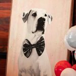 Kaley Cuoco Instagram - Last week we officially launched my beloved company @ohnorman ♥️ I have wanted to do this for years and it’s finally coming to life with the help of a badass , animal loving team . We plan to have an eco friendly , healthy, affordable line of incredibly well made products that our customers will love for years to come. Oh and portion of every single purchase goes towards animal rescue! Thank you for the support… more exciting products are around the corner!! 🐾 💋 ( 📷 @claudcraig )