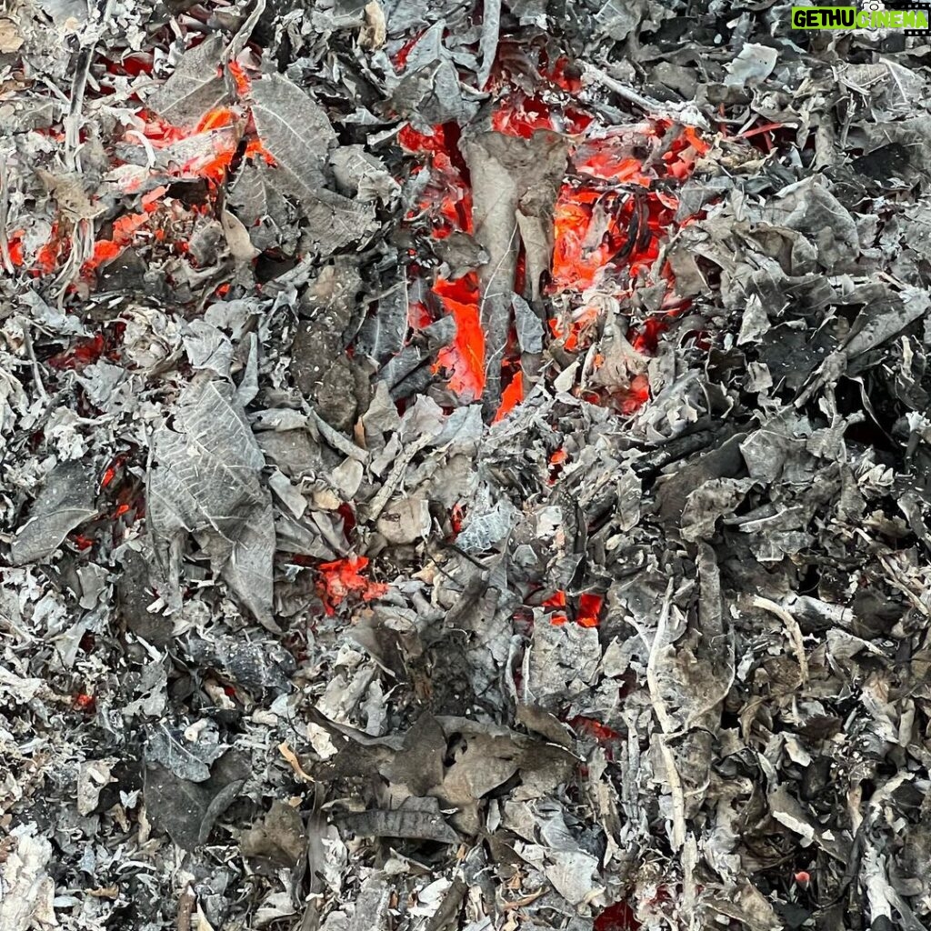 Kalki Koechlin Instagram - And still it burns. Under rubble, under ash. #Gaza💔 Ceasefire.