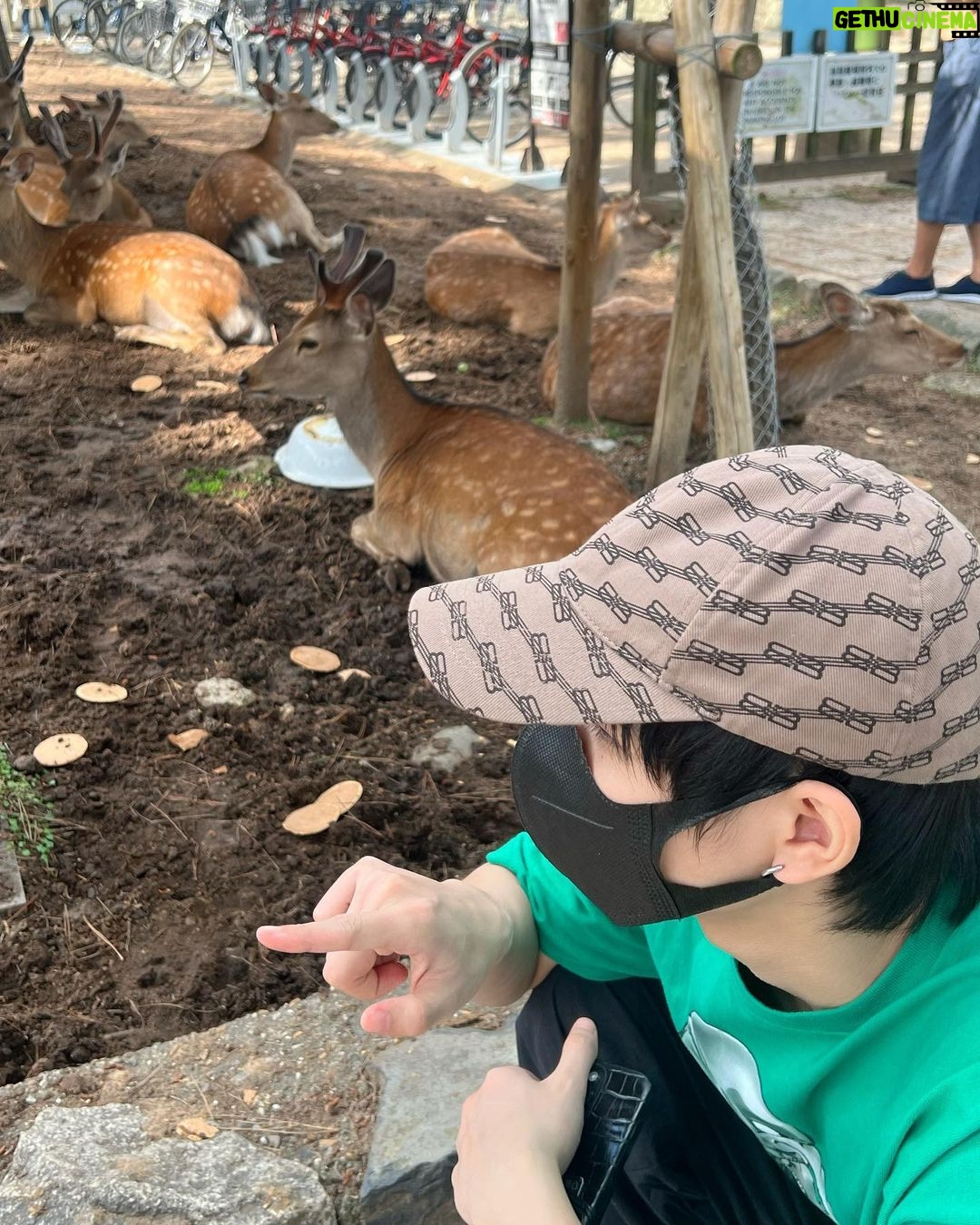 Kanaphan Puitrakul Instagram - มาทัศนศึกษาคับ🦌