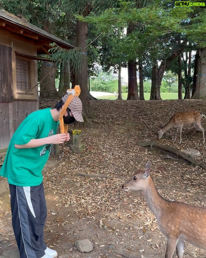 Kanaphan Puitrakul Instagram - มาทัศนศึกษาคับ🦌