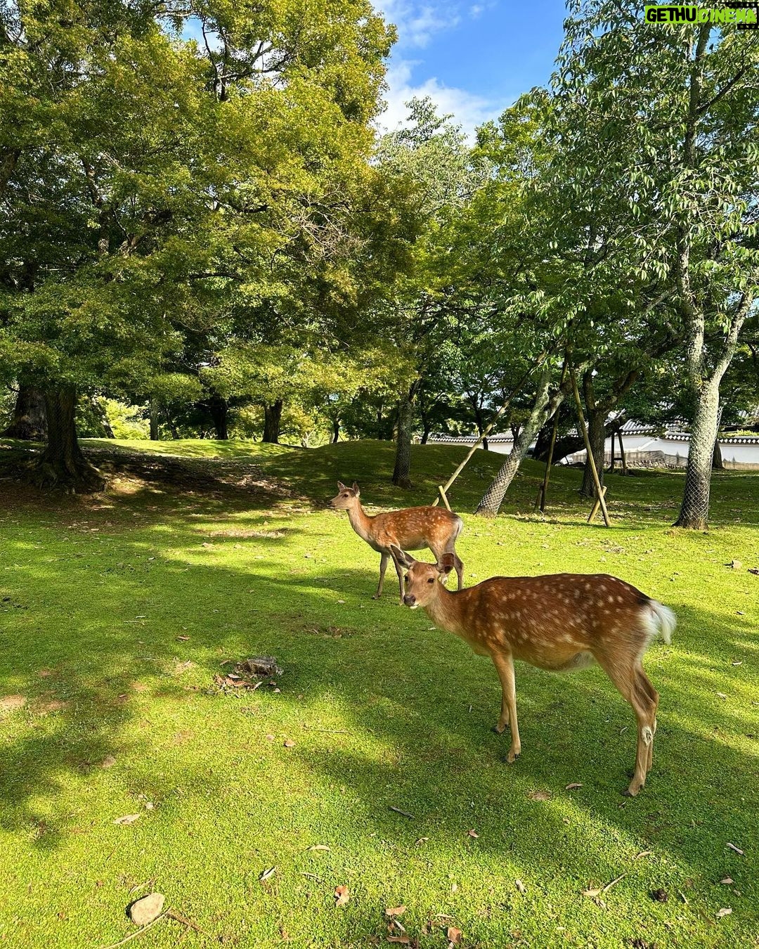 Kanaphan Puitrakul Instagram - มาทัศนศึกษาคับ🦌