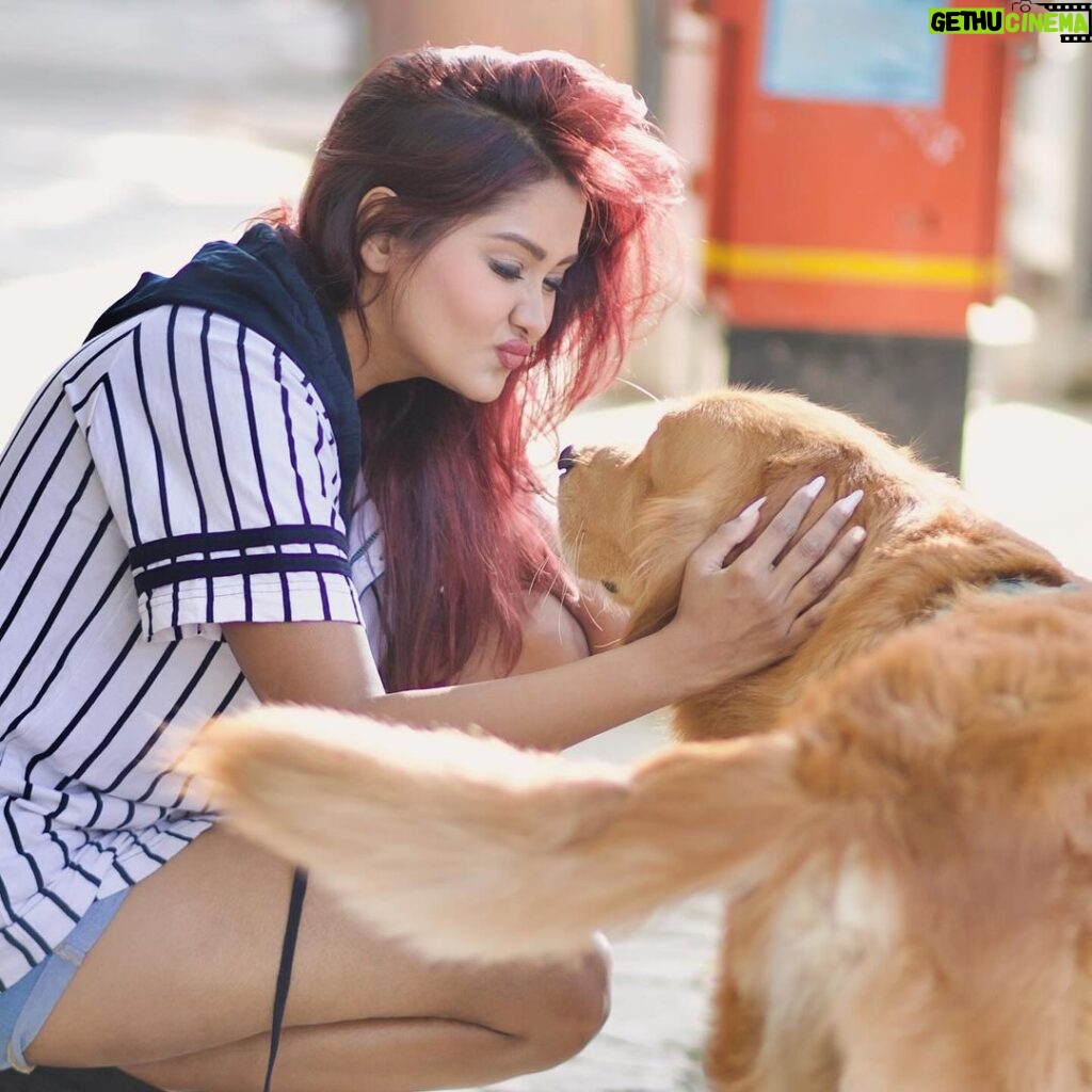 Kanchi Singh Instagram - Paws-itively perfect in every way🫶🏻 Tag your dog lover friend… 🐶 . . 📸 @shadank_photography