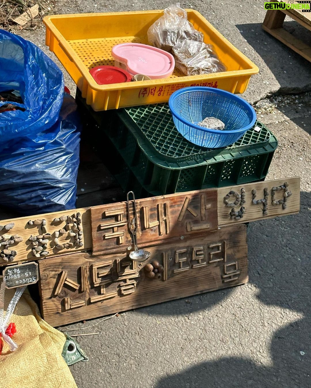 Kang Han-na Instagram - Ummarang🌞🌸 홍쌍리 청매실농원