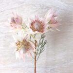 Kang Han-na Instagram - 가을 그리고 겨울의 신부를 위한 꽃 🌸 Wedding Flower with @debella_flower