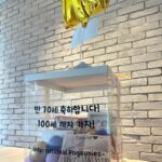 Kang Han-na Instagram - 생일이어서 포근이들 사랑 듬뿍 받은 사람!!🙋🏻‍♀️✨ 고마워요 우리 포근이들🩵🤍🩵🤍🩵