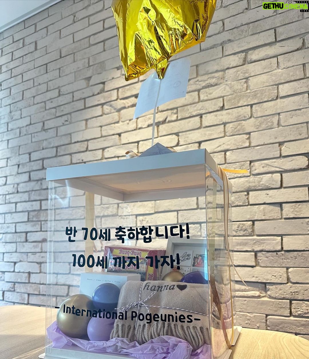 Kang Han-na Instagram - 생일이어서 포근이들 사랑 듬뿍 받은 사람!!🙋🏻♀️✨ 고마워요 우리 포근이들🩵🤍🩵🤍🩵