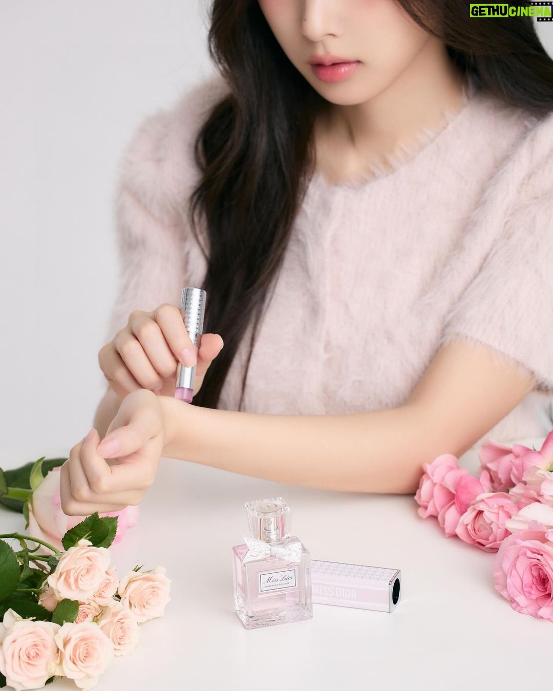 Kang Hye-won Instagram - #광고 Miss Dior 🎀💕 #미스디올 #미스디올블루밍부케 #미스디올미니미스