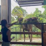 Kaori Oinuma Instagram - good food & good company 🤝🏻 #RiseAndGo 📍 Bale Dutung 📍 Zoocobia Fun Zoo 📍 Lala Cafe