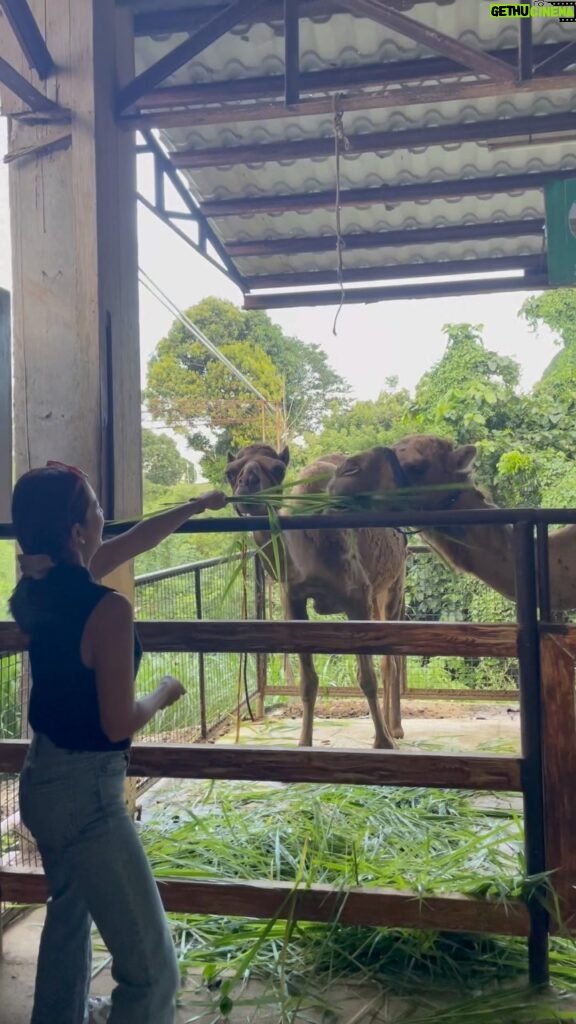 Kaori Oinuma Instagram - good food & good company 🤝🏻 #RiseAndGo 📍 Bale Dutung 📍 Zoocobia Fun Zoo 📍 Lala Cafe