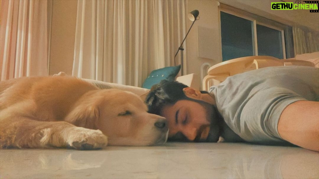 Karan Wahi Instagram - EveryDay Ritual ❤️ @noah_thegoldenretriever