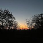 Karen Polinesia Instagram - Ya esta en YouTube mi experiencia en el proyecto Empezar de Cero… Cada vez entiendo porque @ppteamrafa decidió venir acá, la naturaleza nos enseña cómo vivir mejor! Así de simple y si nosotros aprendemos a vivir con ella, nuestra vida se transforma de maneras que solo el alma puede entender…. Gracias hermano por compartir esta bella experiencia conmigo y cuenta conmigo para el desarrollo de los sueños que se están construyendo ahí ✨🍃✨