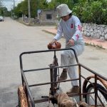 Karen Polinesia Instagram - Ya esta en YouTube mi experiencia en el proyecto Empezar de Cero… Cada vez entiendo porque @ppteamrafa decidió venir acá, la naturaleza nos enseña cómo vivir mejor! Así de simple y si nosotros aprendemos a vivir con ella, nuestra vida se transforma de maneras que solo el alma puede entender…. Gracias hermano por compartir esta bella experiencia conmigo y cuenta conmigo para el desarrollo de los sueños que se están construyendo ahí ✨🍃✨