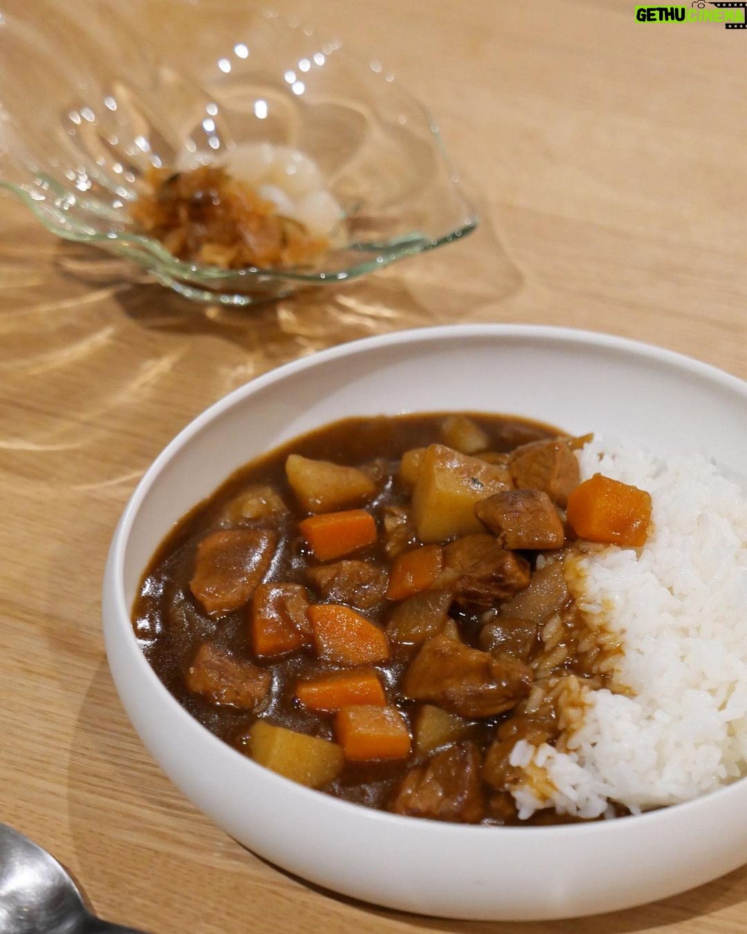 Karen Takizawa Instagram - 夏だからと言ってカレーじゃなくて 結局365日似合うカレー🍛です☺️ 体からカレーが食べたいと言っているのが 分かりました。 具材たちに見守られながら、 夏バテに立ち向かう私に美味しい応援カレーからもらいました📣 小粒に行き交う具材たちは まるで海水浴場に見えます🏖️ 茶系の海で騒いだあとは白飯浜辺で御休憩🌞 遊びすぎ注意の昼間のように。 甘口から微の辛みに挑戦できるのは 期間限定の今だけです。 その他の日数は毎回甘口です。 そんな挑戦的になる自分の味覚に 大人になったんではないかと勘違いする夜。 (いい加減もう大人でいてくれ) 元気を付けて、明日も弾けましょっ🥁