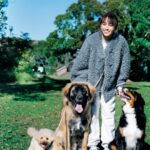 Karen Takizawa Instagram - 少し数ヶ月前の思い出になりますが、 Oggiさんの中で、家族を紹介した日の写真✨です。 ほんとうにほんとうに 3匹との撮影はお祭り騒ぎでもあり嵐の目でもあり盆と正月とクリスマスと誕生日ぜんぶやってきたかのような慌しさでした😅(特に神社とテラ) でもこうやって写真もらうと、 ご迷惑はおかけしましたが... 最高な一日だったことを証拠になります😌 神社は顔が黒いのでその中からさらなる黒目を探すのが間違い探しみたいに難しいかもしれませんが、見つけた先にはとっても優しく実は繊細な瞳をしています😂 そこがすごく好きです。 テラは人間の幸せを全部知っているかのような笑顔をまき散らしては、全身アロママッサージした並の癒しをくれますし、 マカロンは長年私の世話を焼いてきてくれたので全てを飲み込み私に信頼と安心をくれますし、 そんな写真が私の宝物です☺️ 携帯の中にある写真に一切として未練も見返しもない鉄みたいな私でしたが、この写真だけはなんども見返す作品になりそうなので、フォルダ作りました😂✨✨ Oggiさん、 ほんとうにありがとうございました💖 今月号も来月号のOggiもぜひ見てくださいね💓(ワンコはいません)