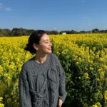 Karen Takizawa Instagram - 美しく地面から照らす太陽かと思ったのでした🌼 菜の花🌼 菜の花は月日が過ぎればなるほど好きにいっていく気がします。 最近は煌びやかな硬い灰色で囲まれる場所も好きですが、柔らかくて土から生えたような花や木もしっかり好きになっていきます😊🌳 ようやく寒い固まる景色から少し、肩に絡まる紐がほどけたように🪢、誰か微笑む景色になってきましたね。 花粉とは長年敵対心に向けてますが、 粉を取れば大好きなものです。 空の永遠さを知らされて気持ちよかったです。 みなさまも自力でお花を見つけてみたら 楽しいかもしれません。 今日、明日は寒いですからごゆっくりの中で温まってください♨️