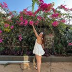 Karishma Sharma Instagram - Full time job : Being cute ☺️🤍💫 @stayvista_official at @house_of_j_lonavala. #hosted #partnership #collaboration as per govt guidelines