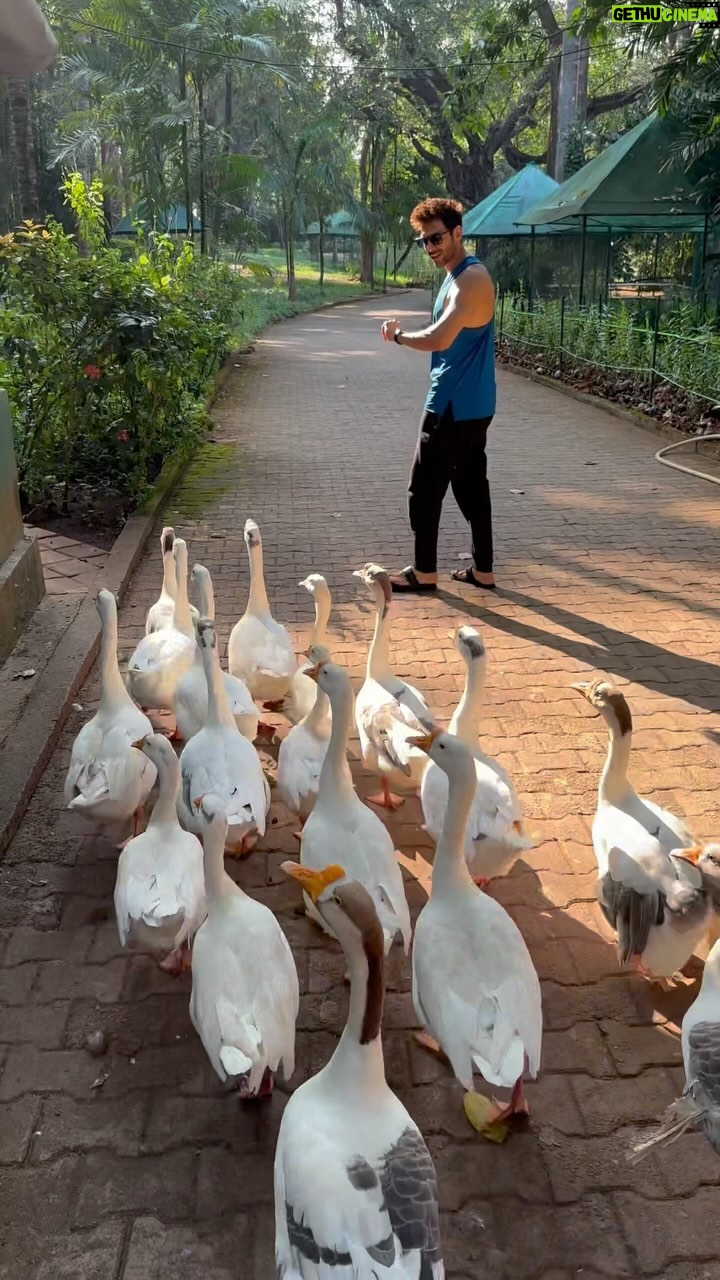 Kartik Aaryan Instagram - Ducks Day Out πΆπ» Goa, India
