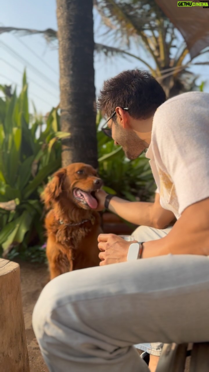 Kartik Aaryan Instagram - Chai 🐶 Biscuit Me n Goa = Bliss Goa, India