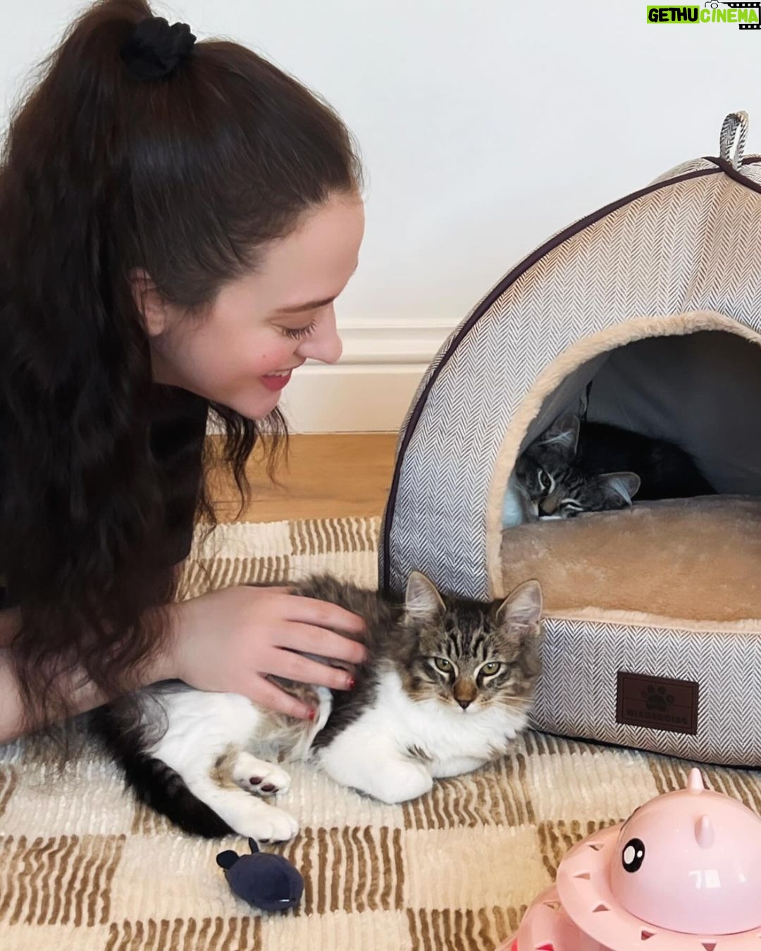 Kat Dennings Instagram - Millie opened my heart so wide that two new babies walked into it. Please meet Lentil and Barley 🤎🤎