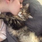 Kat Dennings Instagram - It’s #NationalBestFriendsDay which means I can show off my daughter, Millie, adopted over a decade ago. Did she change my life for the better? Yes. Did my heart grow triple the size in the warm glow of her love? Yes. Did she poo on my head once? Who can say. All that matters is that YOU can find your own fluffy (or scaly? Reptiles also included) best friend baby in need of a home at your local shelter or rescue group, and go to bestfriends.org to learn more 🐾 #SaveThemAll 💕