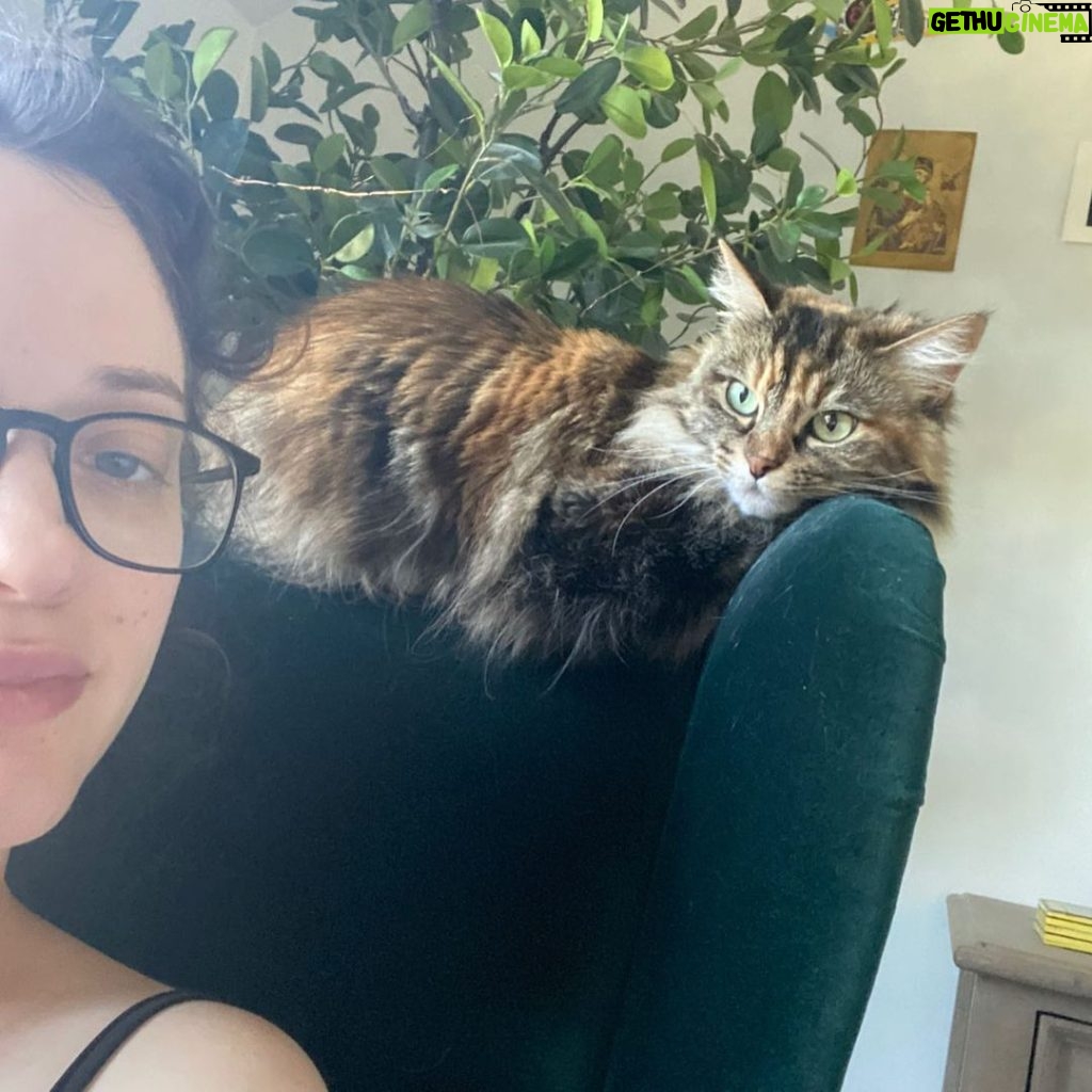 Kat Dennings Instagram - It’s #NationalBestFriendsDay which means I can show off my daughter, Millie, adopted over a decade ago. Did she change my life for the better? Yes. Did my heart grow triple the size in the warm glow of her love? Yes. Did she poo on my head once? Who can say. All that matters is that YOU can find your own fluffy (or scaly? Reptiles also included) best friend baby in need of a home at your local shelter or rescue group, and go to bestfriends.org to learn more 🐾 #SaveThemAll 💕