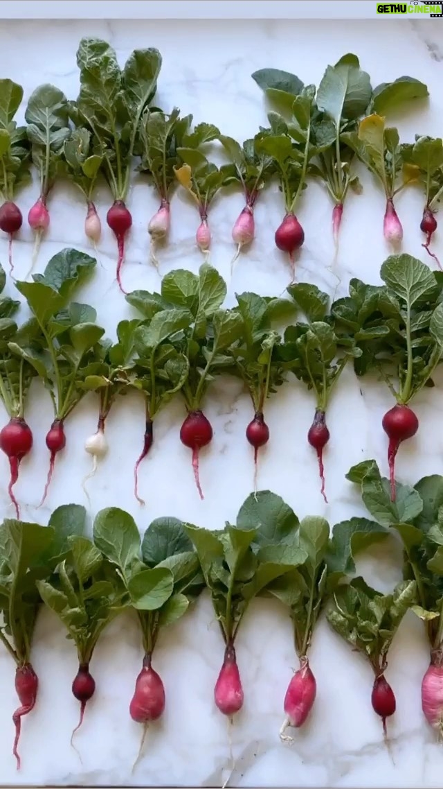 Kat Dennings Instagram - It’s radishes but sexy