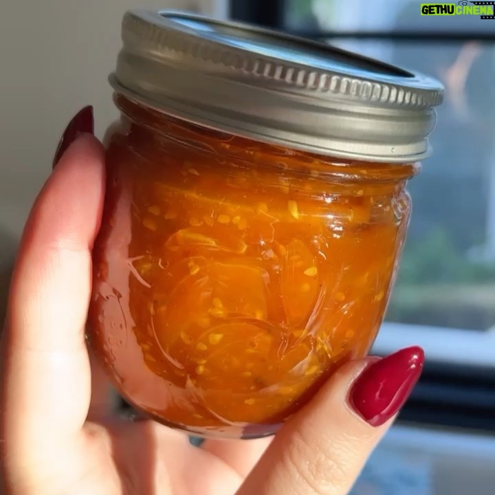 Kat Dennings Instagram - I MADE TOMATO JAM yes it’s true I have successfully morphed into the wizened old grandfather I have always dreamed of! I grew these tomatoes and then I harvested these tomatoes and then I made jam out of these tomatoes and frankly, nobody can tell me anything right now. And yes I do know there are air bubbles, I didn’t do a real canning method because I actually don’t know how to but I plan to eat this fast and if I get botulism I get botulism