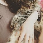 Kat Dennings Instagram – A secret cuddler