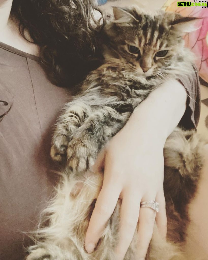 Kat Dennings Instagram - A secret cuddler