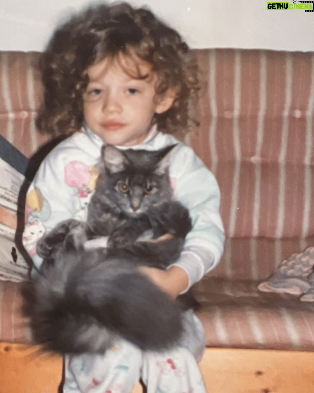 Kat Dennings Instagram - This #GivingTuesday, I'm proud to support the ASPCA who works tirelessly to rescue animals and give them second chances. Before they can find a loving home, rescued animals need people like you to support them. Make a difference here aspca.org/BeforeYou