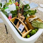 Kat Dennings Instagram - CONGRATULATIONS @thejolyn @mc5ulli @hayls043 @alter_eagle @missopenthrottle you are the winners of our gardening giveaway, @drinkspindrift will DM you for your information!!!!