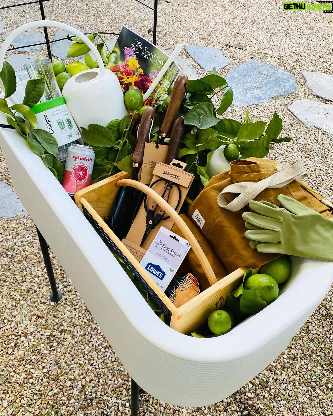 Kat Dennings Instagram - CONGRATULATIONS @thejolyn @mc5ulli @hayls043 @alter_eagle @missopenthrottle you are the winners of our gardening giveaway, @drinkspindrift will DM you for your information!!!!