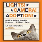 Kat Dennings Instagram - THIS WEEKEND - Best Friends Super Adoption is back and there will be hundreds of adorable dogs and cats from dozens of local shelters and rescue groups waiting to be given loving homes. This Saturday and Sunday, November 4th and 5th from 10am-4pm at Los Angeles State Historic Park, 1245 N. Spring Street, in the heart of L.A. I love this group so much for what they do to save them all. To learn more, go to bfas.org/super 🩵🐾 #Nokill2025 #SaveThemAll #SuperAdoption