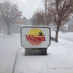 Kat Dennings Instagram - Is the world a nightmare vortex? Confirmed, hunty! So here’s a picture I had saved way back in my photos, I did not take it! However I do sometimes stare wistfully at pics of Wawa signs and that’s my beige flag I suppose