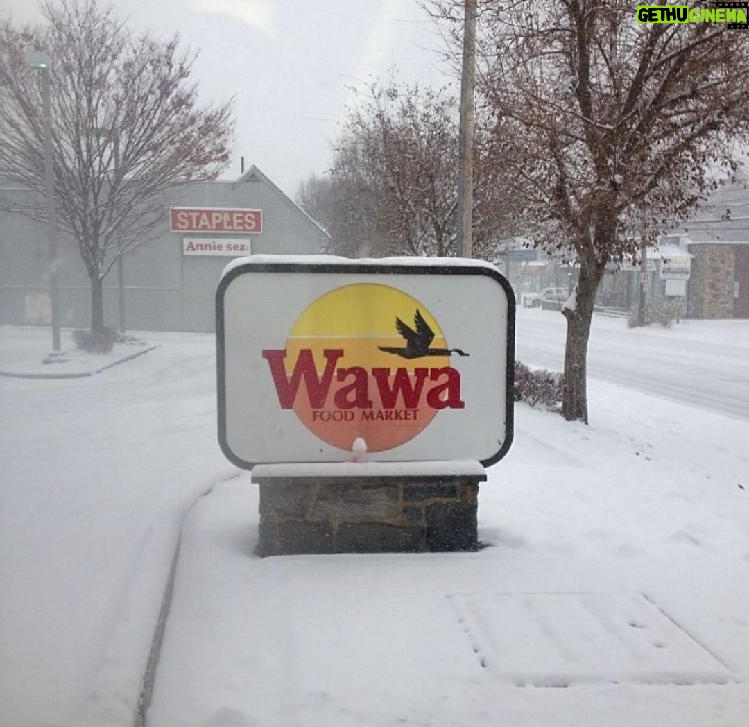 Kat Dennings Instagram - Is the world a nightmare vortex? Confirmed, hunty! So here’s a picture I had saved way back in my photos, I did not take it! However I do sometimes stare wistfully at pics of Wawa signs and that’s my beige flag I suppose