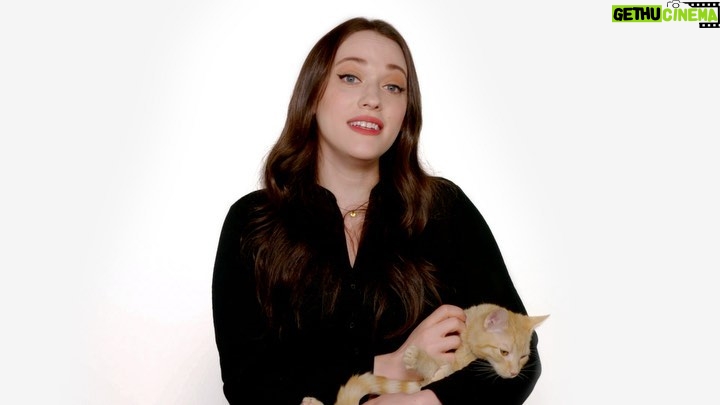 Kat Dennings Instagram - I love cats - like really, really love them! That’s why I am so excited to partner with @RoyalCaninUS to ask you to take your cat to the vet each and every year. So, join me and take the #Cat2Vet pledge today. #RoyalCaninPartner