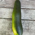 Kat Dennings Instagram - Zucchini Daddy™️ is back