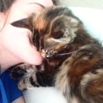 Kat Dennings Instagram – national pet day?! if u insist