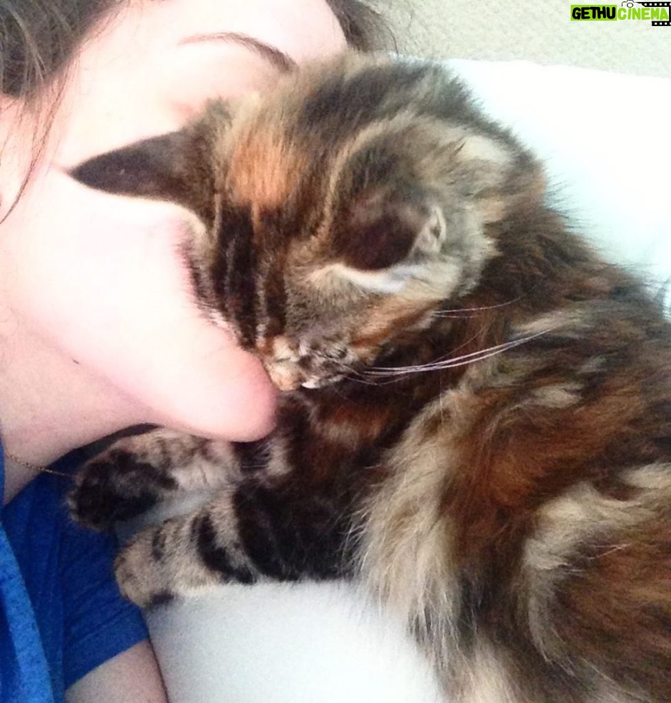 Kat Dennings Instagram - national pet day?! if u insist