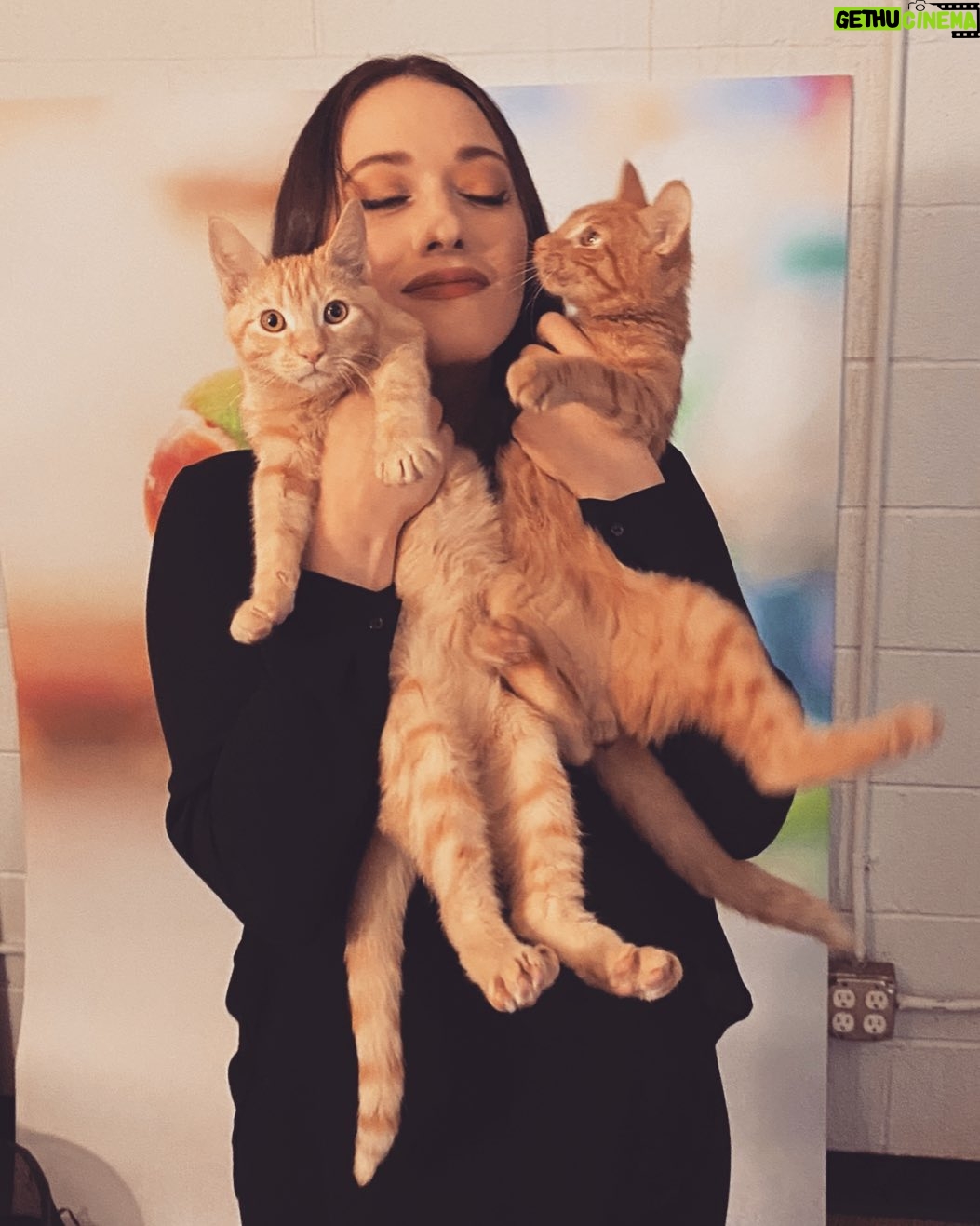 Kat Dennings Instagram - important memories