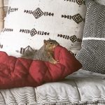 Kat Dennings Instagram - be true to yourself