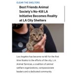 Kat Dennings Instagram – THE BEST NEWS!!! The amazing people at @bfas_la and @bestfriendsanimalsociety made this huge change possible for all the bbs and WE THANK THEM 🐾🐾🐾