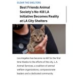 Kat Dennings Instagram - THE BEST NEWS!!! The amazing people at @bfas_la and @bestfriendsanimalsociety made this huge change possible for all the bbs and WE THANK THEM 🐾🐾🐾