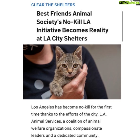 Kat Dennings Instagram - THE BEST NEWS!!! The amazing people at @bfas_la and @bestfriendsanimalsociety made this huge change possible for all the bbs and WE THANK THEM 🐾🐾🐾