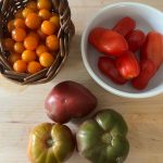Kat Dennings Instagram - there are other things in my life besides tomatoes I swear