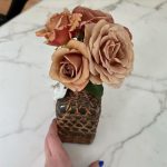 Kat Dennings Instagram - I grew these and now you have to look at them!