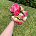 Kat Dennings Instagram – just call me petal paws